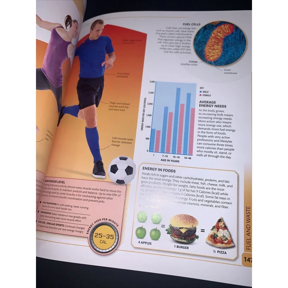 Super Human Encyclopedia‎ by Steve Parker DK PUBLISHING Discovery Kids 2014